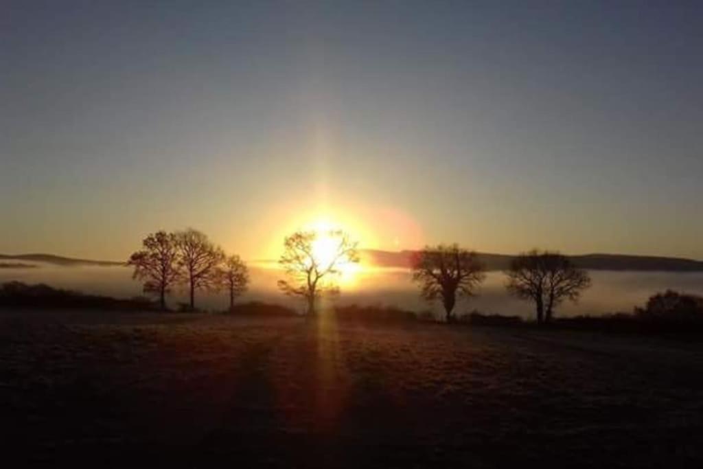 Llanwrda Perfect Cottage Retreat Near The Brecon Beacons מראה חיצוני תמונה