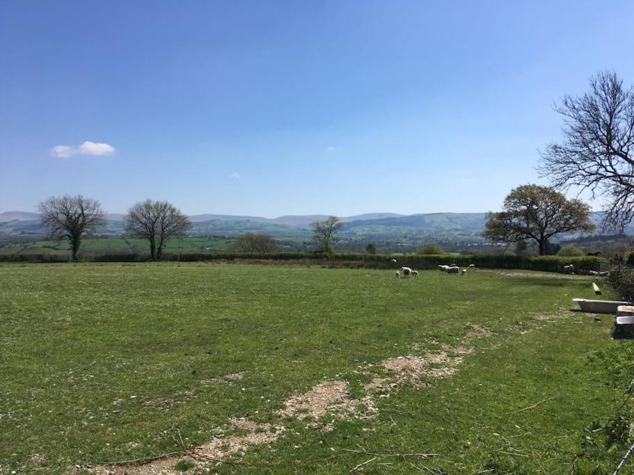 Llanwrda Perfect Cottage Retreat Near The Brecon Beacons מראה חיצוני תמונה