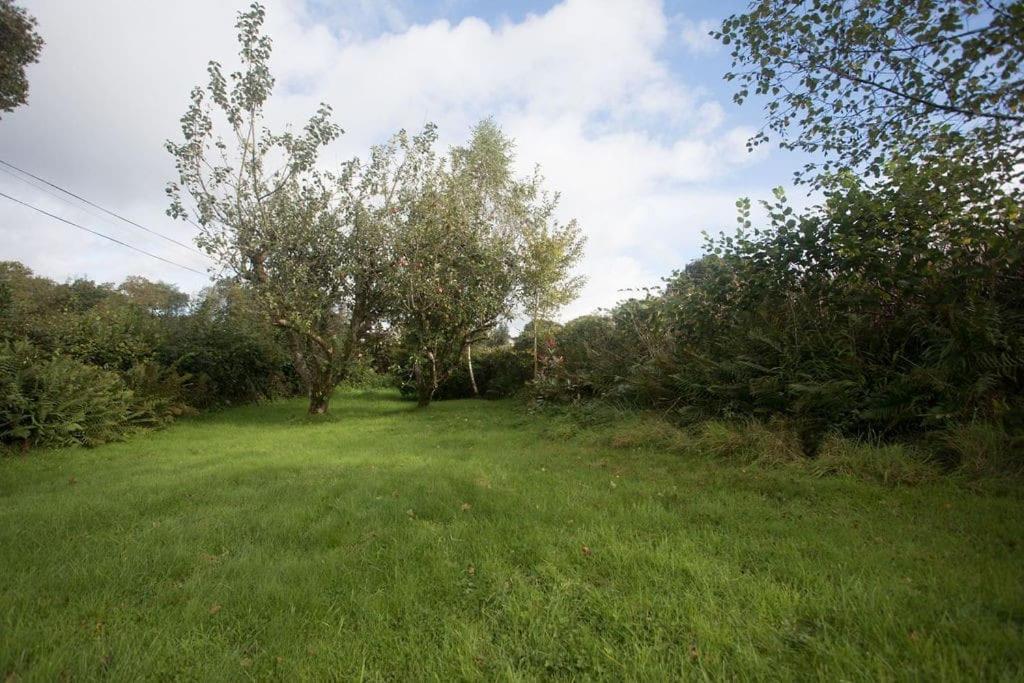 Llanwrda Perfect Cottage Retreat Near The Brecon Beacons מראה חיצוני תמונה